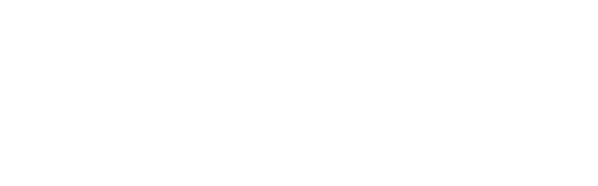 Подпись Майка Ланзетта